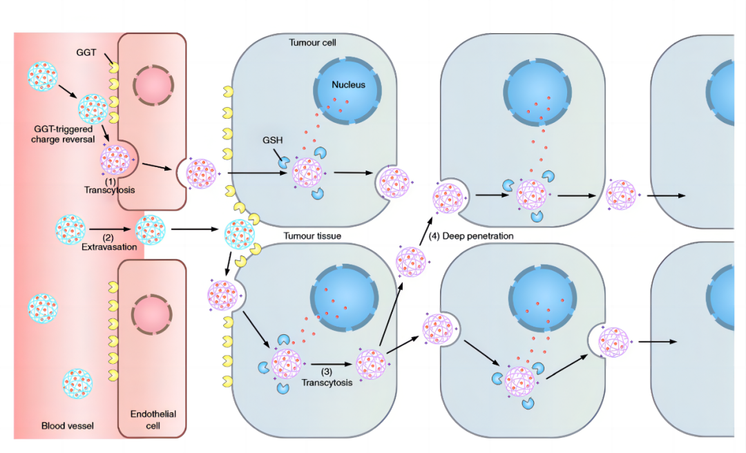 640 (6).png 640 (6).png