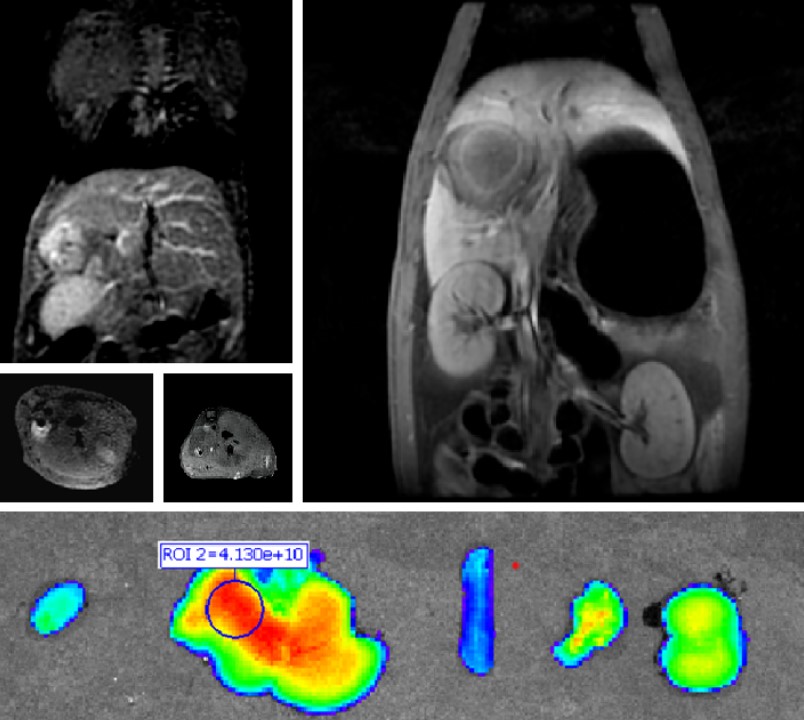 屏幕截图 2024-09-02 103717.jpg 屏幕截图 2024-09-02 103717.jpg