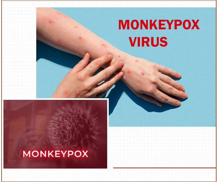 屏幕截图 2024-09-02 104047.jpg 屏幕截图 2024-09-02 104047.jpg