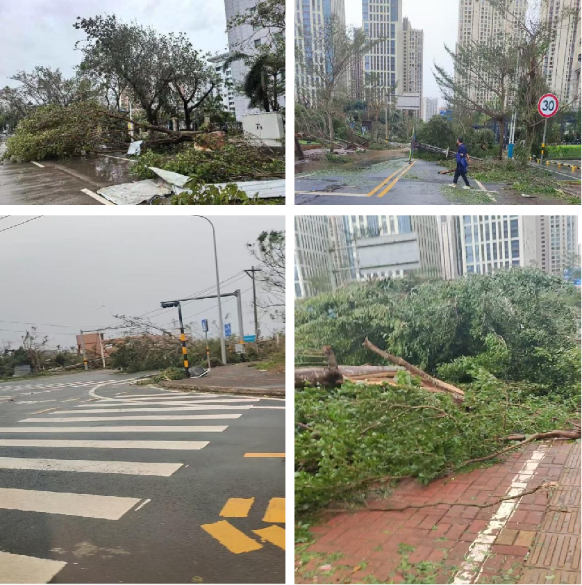 微信图片_20240910085202.png 微信图片_20240910085202.png