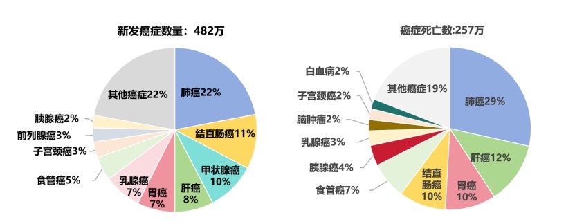 640 (5).jpg 640 (5).jpg