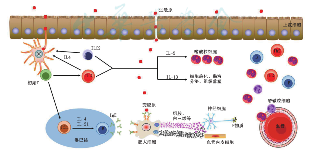 640 (1).png 640 (1).png