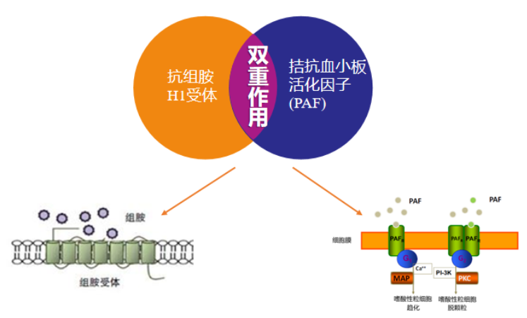 640 (10).png 640 (10).png